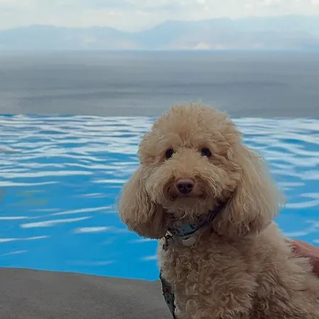 ​le Grand Bleu 5* Derveni